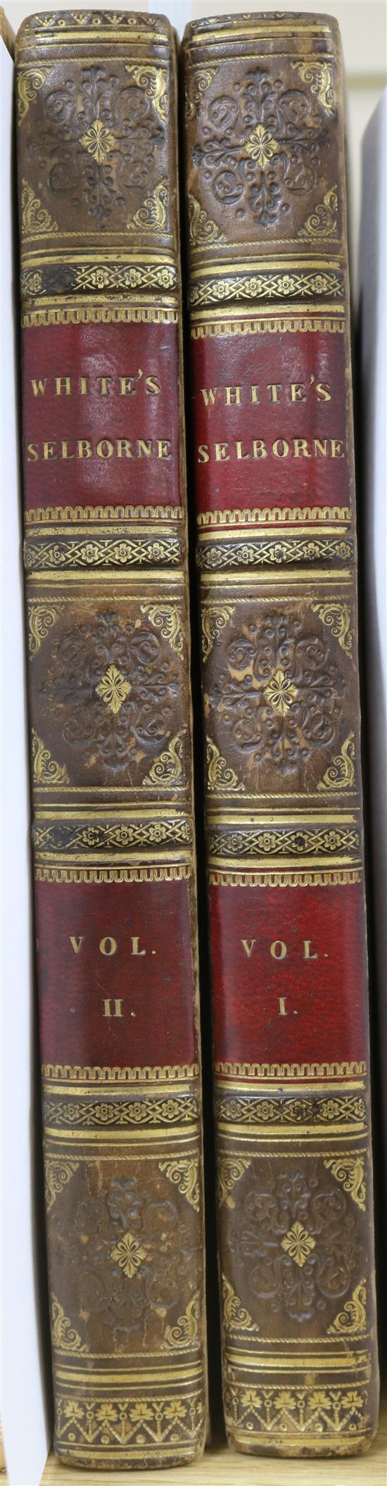 White, Gilbert - The Natural History of Selborne,